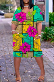 Casual Print Basic V Neck Short Sleeve Short Sleeve Dress