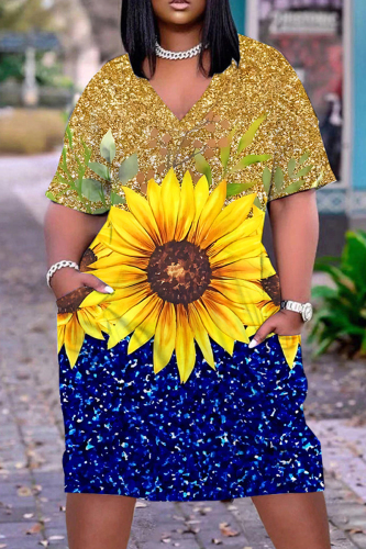 Casual Print Basic V Neck Short Sleeve Short Sleeve Dress