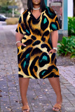 Casual Print Basic V Neck Short Sleeve Short Sleeve Dress