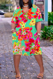 Casual Print Basic V Neck Short Sleeve Short Sleeve Dress