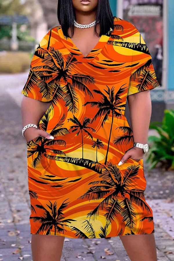 Casual Print Basic V Neck Short Sleeve Short Sleeve Dress