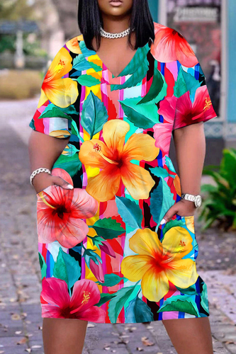 Casual Print Basic V Neck Short Sleeve Short Sleeve Dress