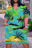 Casual Print Patchwork V Neck Short Sleeve Short Sleeve Dress
