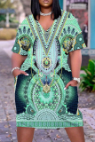 Casual Print Basic V Neck Short Sleeve Short Sleeve Dress