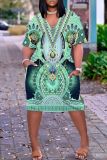 Casual Print Basic V Neck Short Sleeve Short Sleeve Dress