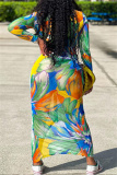 Sexy Print Patchwork V Neck Long Sleeve Dresses
