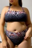 Sexy Print Basic Plus Size Swimsuit Three Piece Set (With Paddings)