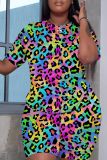 Casual Print Basic O Neck Plus Size Two Pieces