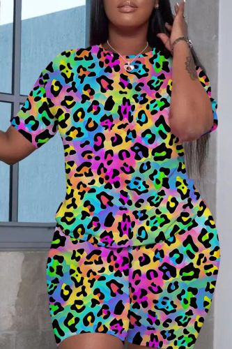 Casual Print Basic O Neck Plus Size Two Pieces