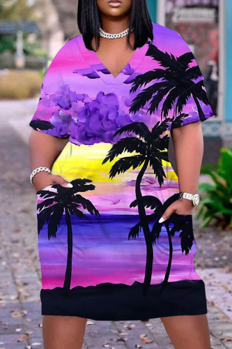 Casual Print Patchwork Basic V Neck Short Sleeve Short Sleeve Dress