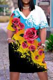 Casual Print Basic V Neck Short Sleeve Short Sleeve Dress
