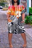 Casual Print Basic V Neck Short Sleeve Short Sleeve Dress