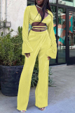 Sexy Casual Solid Bandage V Neck Long Sleeve Two Pieces
