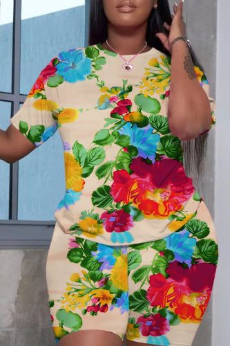 Casual Print Basic O Neck Plus Size Two Pieces