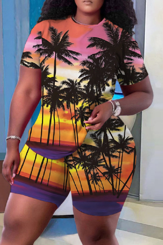 Casual Print Basic O Neck Plus Size Two Pieces