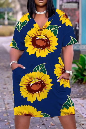 Casual Print Basic V Neck Short Sleeve Short Sleeve Dress