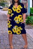 Casual Print Basic V Neck Short Sleeve Short Sleeve Dress