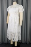 Casual Solid Hollowed Out Patchwork O Neck Short Sleeve Short Sleeve Dress