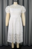 Casual Solid Hollowed Out Patchwork O Neck Short Sleeve Short Sleeve Dress