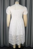 Casual Solid Hollowed Out Patchwork O Neck Short Sleeve Short Sleeve Dress