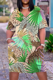 Casual Print Basic V Neck Short Sleeve Short Sleeve Dress