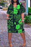 Casual Print Basic V Neck Short Sleeve Short Sleeve Dress