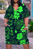 Casual Print Basic V Neck Short Sleeve Short Sleeve Dress