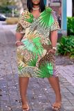 Casual Print Basic V Neck Short Sleeve Short Sleeve Dress