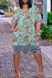 Casual Print Basic V Neck Short Sleeve Short Sleeve Dress
