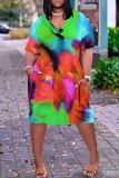Casual Print Basic V Neck Short Sleeve Short Sleeve Dress