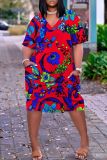 Casual Print Basic V Neck Short Sleeve Short Sleeve Dress