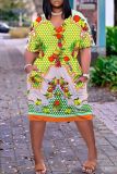 Casual Graphics Print Basic V Neck Short Sleeve Pockets Loose Midi T-shirt Dress