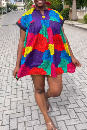 Casual African Street Colorblock Short Sleeve Loose Plus Size Vacation A Line Shirt Mini Dresses