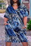 Casual Graphics Print Basic V Neck Short Sleeve Baggy T-shirt Midi Dress