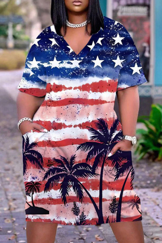 Casual Flag Star Print Basic V Neck Short Sleeve Pockets Plus Size T-shirt Midi Dresses
