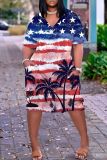 Casual Flag Star Print Basic V Neck Short Sleeve Pockets Plus Size T-shirt Midi Dresses