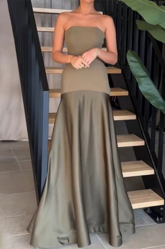 Sexy Formal Backless Strapless Sleeveless Floor Length Wide Hem Long Formal Party Evening A Line Tube Maxi Dresses