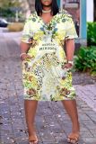Casual Graphics Print Basic V Neck Short Sleeve Pockets Loose T-shirt Dresses
