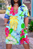 Casual Graphics Print Basic V Neck Short Sleeve Pockets Loose T-shirt Dresses