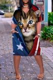 Casual Flag Star Print V Neck Short Sleeve Pockets Loose T-shirt Dresses