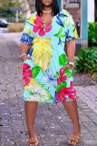 Casual Graphics Print Basic V Neck Short Sleeve Pockets Loose T-shirt Dresses