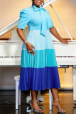 Casual Colorblock Bow Tie Neck Hubble-Bubble Sleeve Belted Vacation Formal Party Evening Plus Size A Line Pleated Maxi Dresses