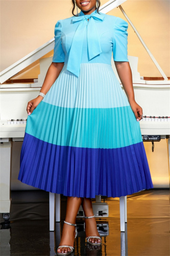 Casual Colorblock Bow Tie Neck Hubble-Bubble Sleeve Belted Vacation Formal Party Evening Plus Size A Line Pleated Maxi Dresses