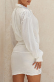 Sexy Turndown Collar Long Sleeve Vacation Beach Draped Linen Mini Shirts Dress