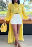 Casual Long Sleeve Half A Turtleneck Irregular Hem Vacation Blouse