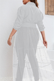 Formal Shirt Collar Half Sleeve Beading Decor Sheer Belted Mesh Patchwork Plus Size Party Evening Maxi Dress