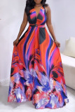 Colorblock Floral Print V Neck Sleeveless Cinch Waist Formal Party Evening Vacation A Line Maxi Flowy Dress