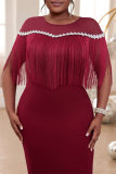 Formal Sleeveless Fringed Trim O Neck Slit Long Formal Party Evening Bodycon Maxi Dress