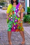 Casual Graphics Print Basic V Neck Short Sleeve Loose Pockets Midi T-Shirt Dress