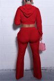 Sportwear Casual Zipper Hooded Long Sleeve Crop Jackets And Straight Leg Pants Two Pieces Sweatpant Sets